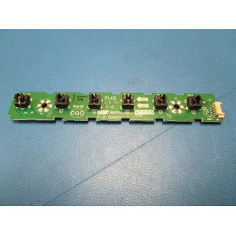 PL-00009217