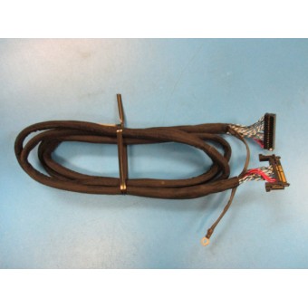 CB-00010319