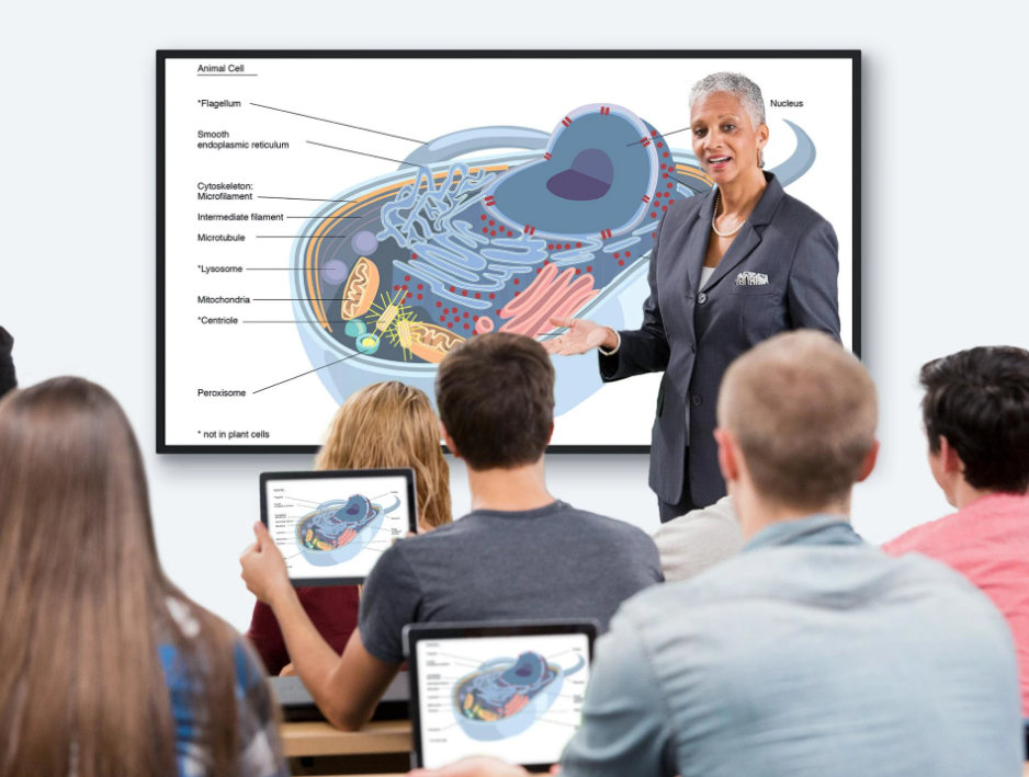 Lợi Ích Vượt Trội Dành Cho Giáo Dục