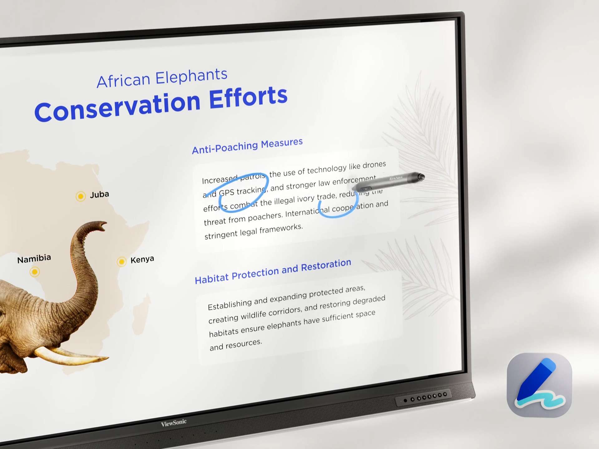 Màn Hình Tương Tác ViewSonic ViewBoard IFP6553-ED – 65” EDLA, NFC Login, USB-C 100W, Android 14