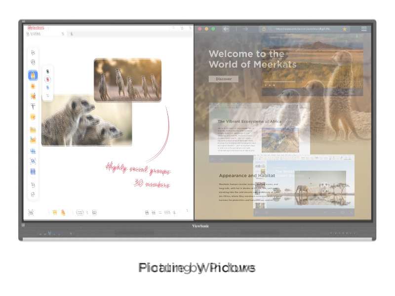 Màn Hình Tương Tác ViewSonic ViewBoard IFP7553-ED – 75” EDLA, NFC Login, USB-C 100W, Android 14