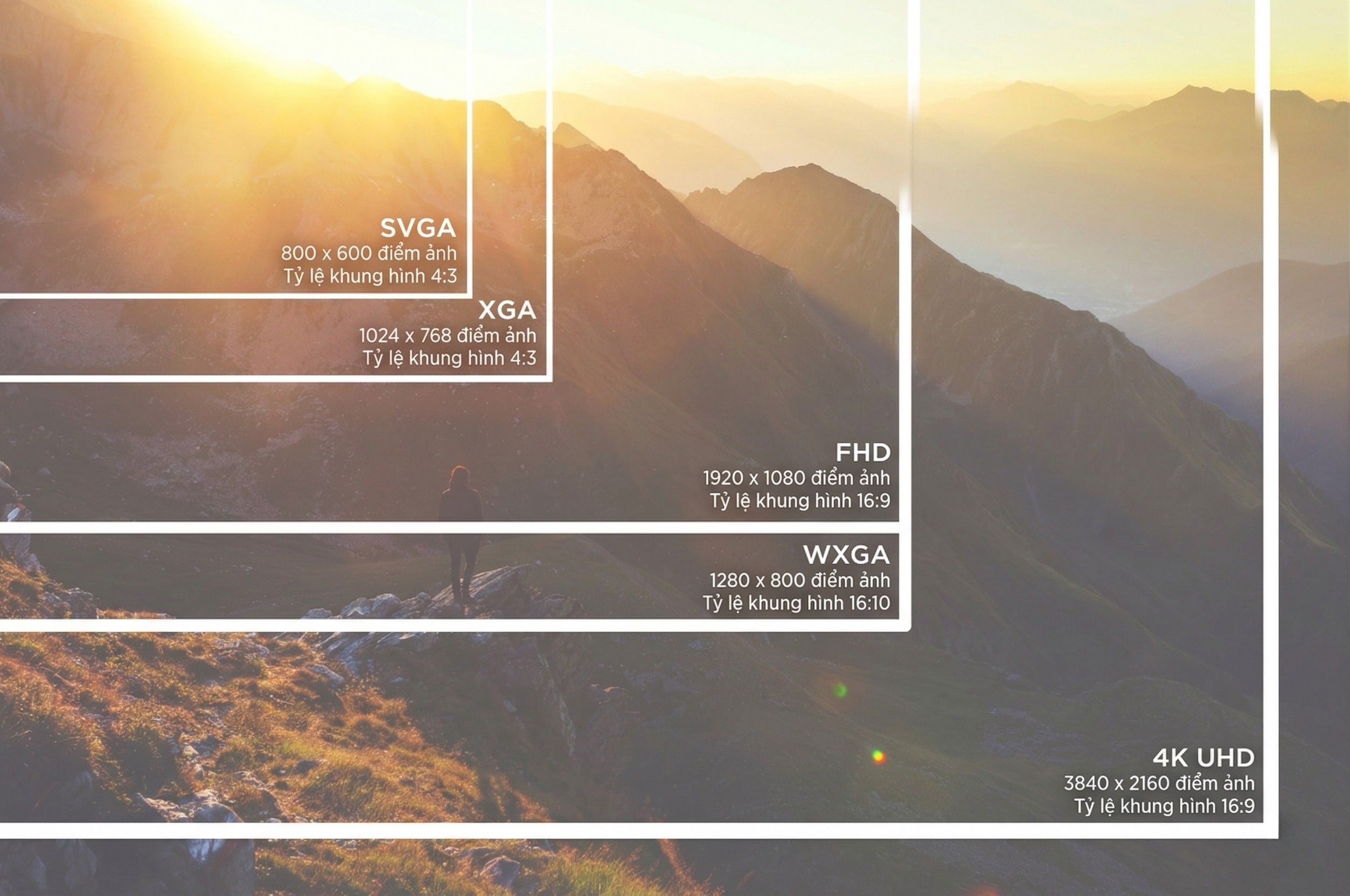 Độ phân giải máy chiếu